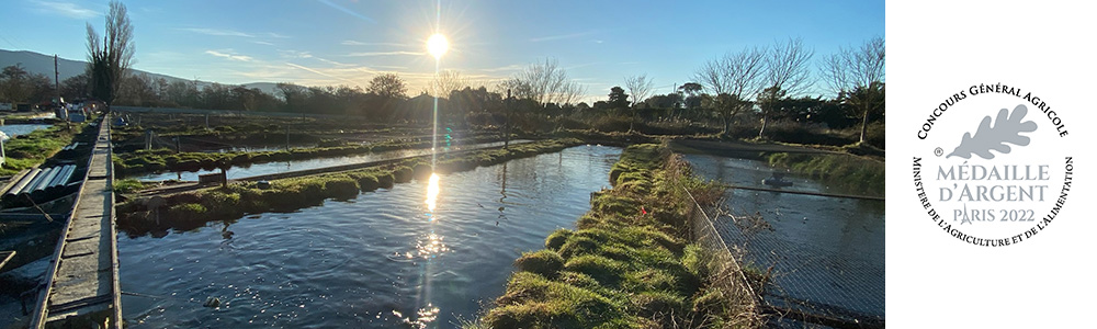 Les Truites de L'Isle sur la Sorgue